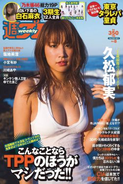 山炮进城2